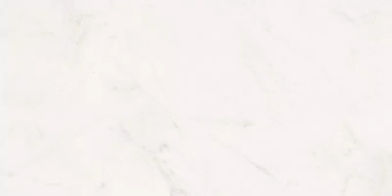SENSI WHITE RHINO 60X120_07