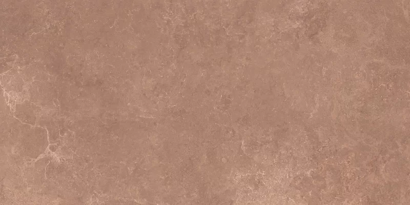 MIDI NATURE TERRE 60X120_05