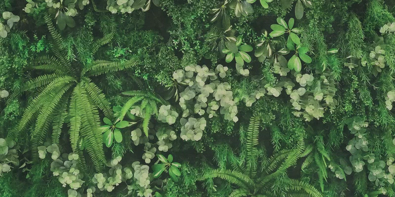 WIDE&STYLE CP4 SECRET GARDEN WALL 120X240_03