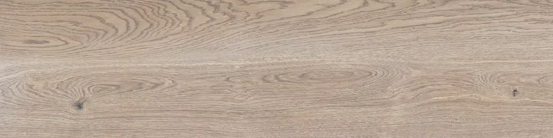 FOUR SEASONS BISCUIT 30X120_02
