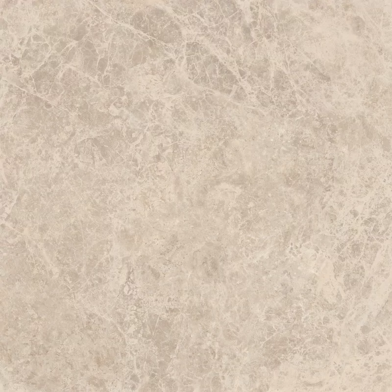 ERA DELICATE TAUPE 60X60_10