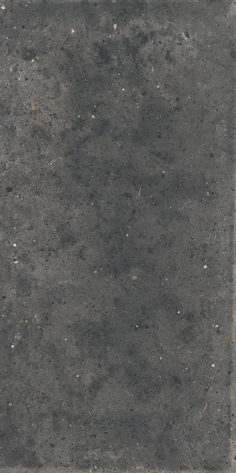 ANIMA FUMO 60X120_12