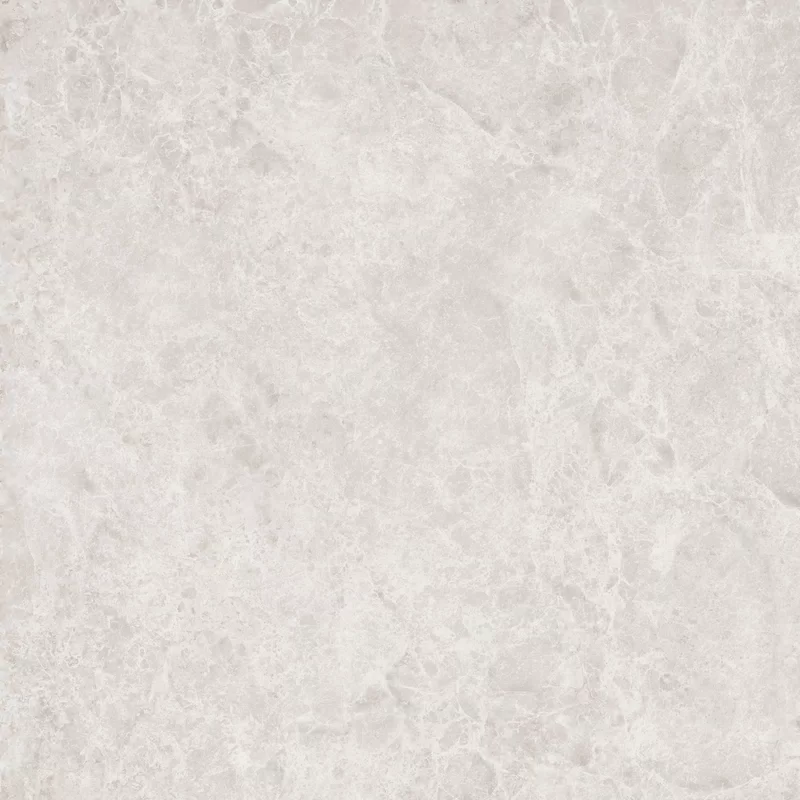 ERA DELICATE IVORY 120X120_04