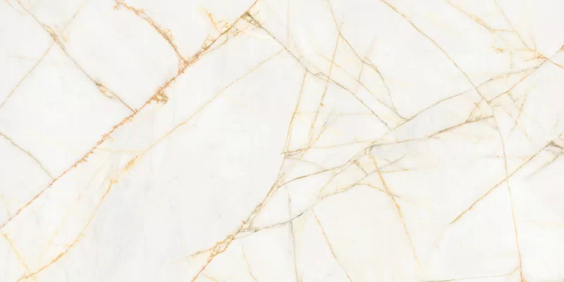 SUPREME HEDONISM GOLDEN SPIDER 60X120_03
