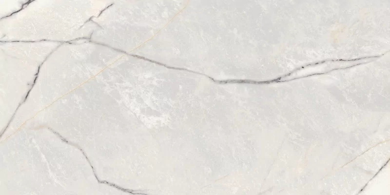 SUPREME TREASURE GREYLAC PLATINUM 60X120_03