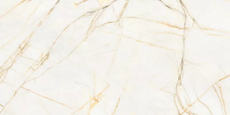 SUPREME HEDONISM GOLDEN SPIDER 60X120_07