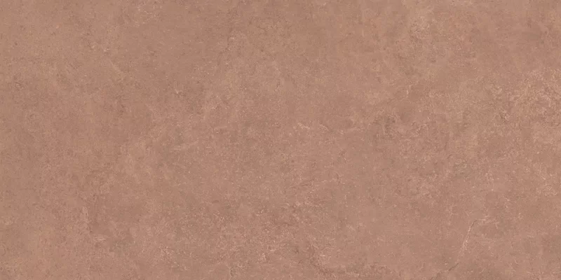 MIDI NATURE TERRE 60X120_10