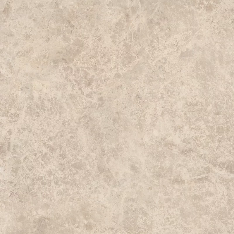 ERA DELICATE TAUPE 60X60_06