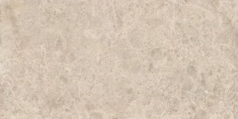 ERA DELICATE TAUPE 30X60_09