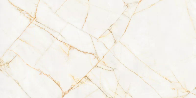 SUPREME HEDONISM GOLDEN SPIDER 60X120_18