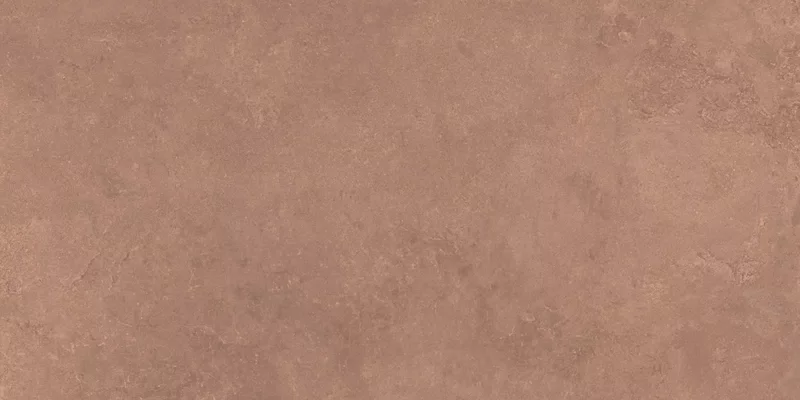 MIDI NATURE TERRE 60X120_01