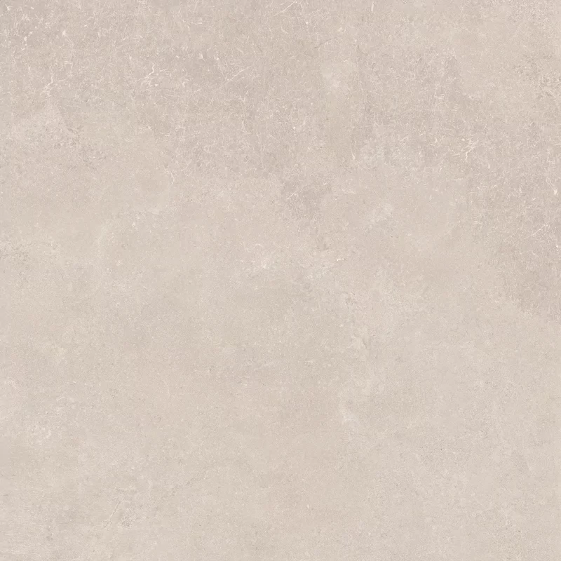 MIDI NATURE POUDRE 60x60_27