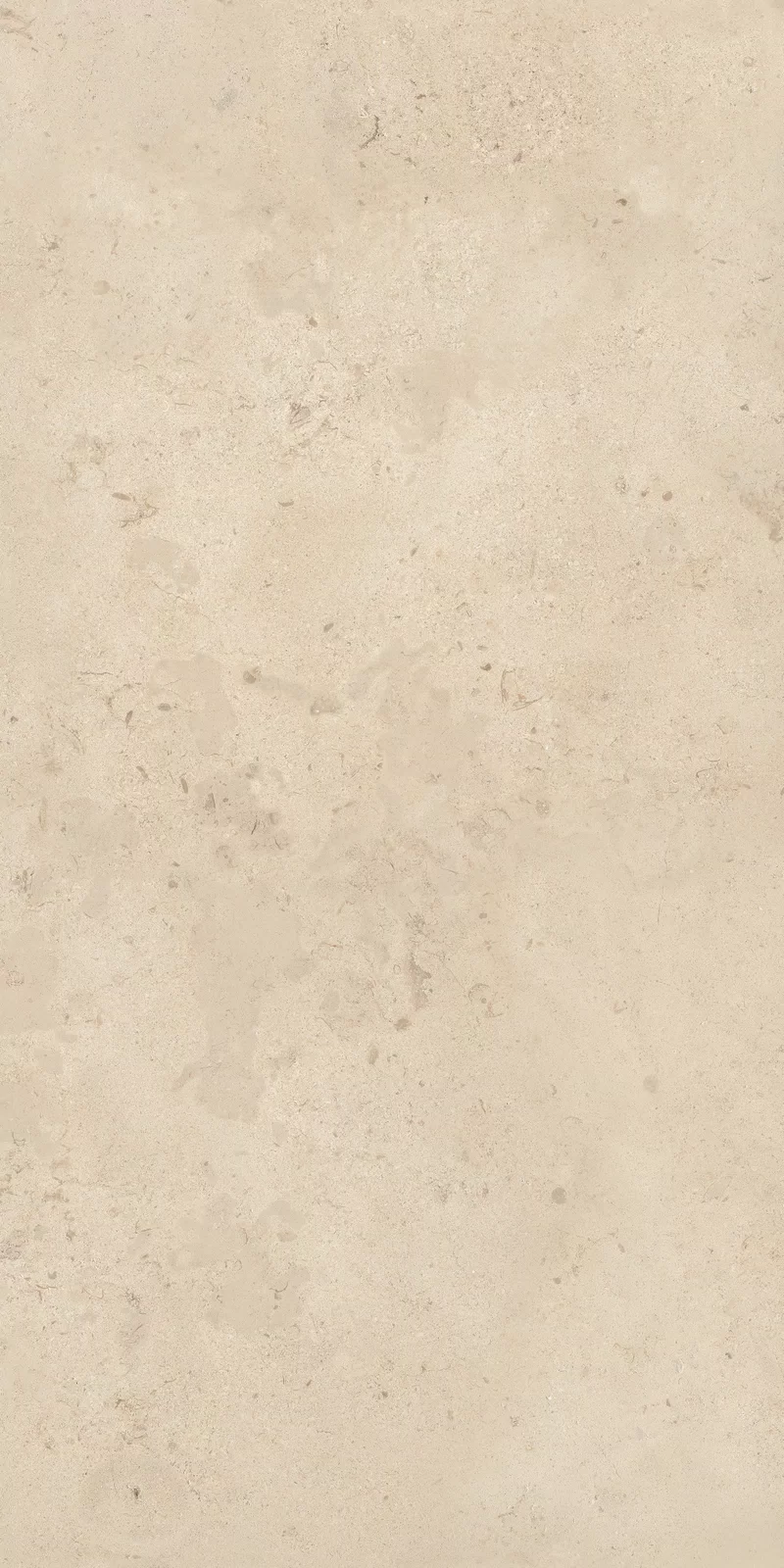 OUT.20 CAMARGUE BEIGE 60X120_12
