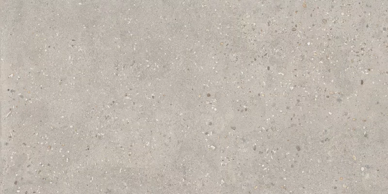 COSMOPOLITAN VIBRANT GREIGE 60X120_10