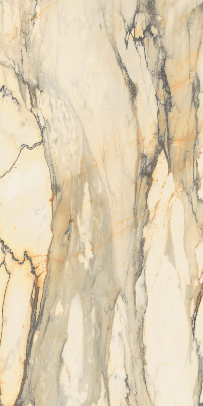LA MARMOTECA_ANTIQUE BROWN_60x120_11