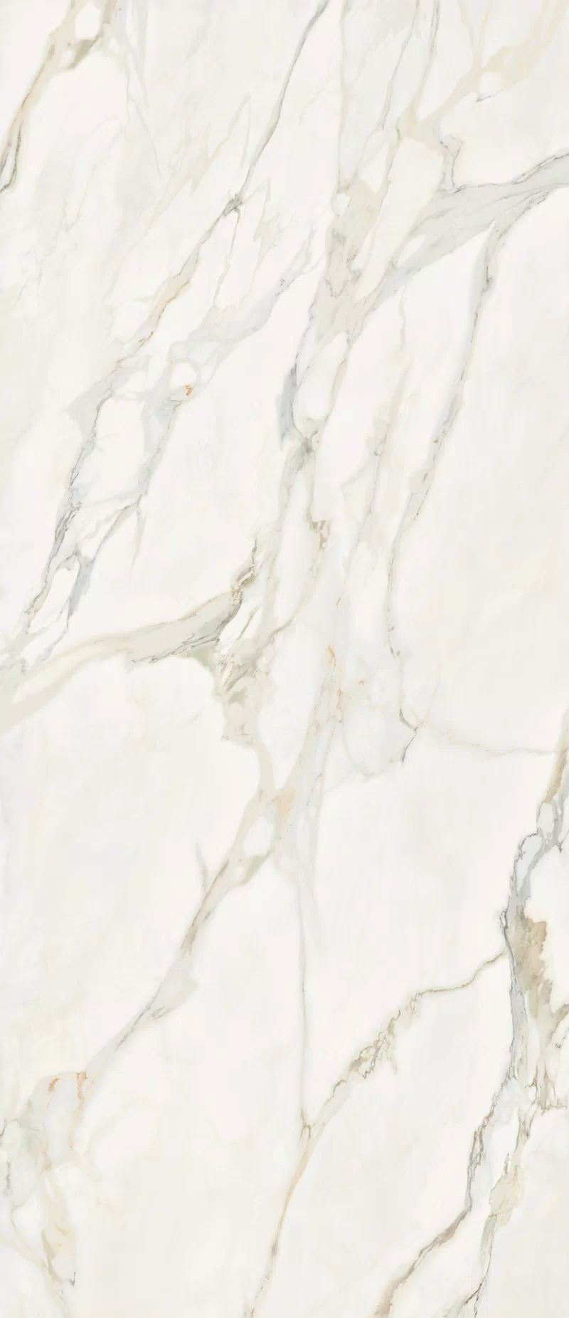 LA MARMOTECA_CALACATTA ELEGANCE_120X280_2