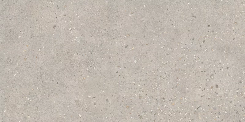 COSMOPOLITAN VIBRANT GREIGE 60X120_05