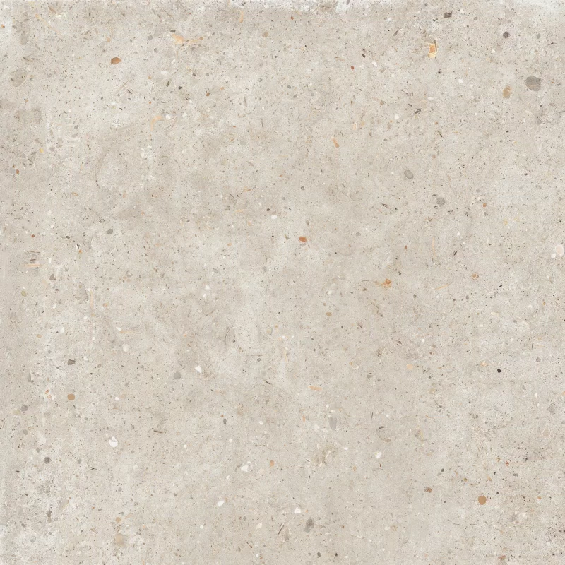 ANIMA BEIGE 60X60_07