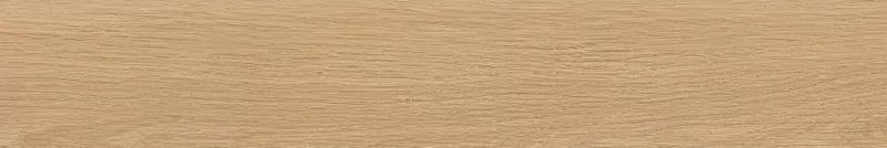 FOUR SEASONS HONEY 10X60_25