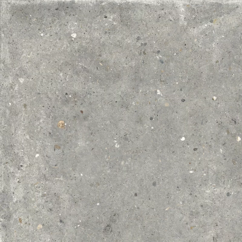 ANIMA GRIGIO 60X60_12