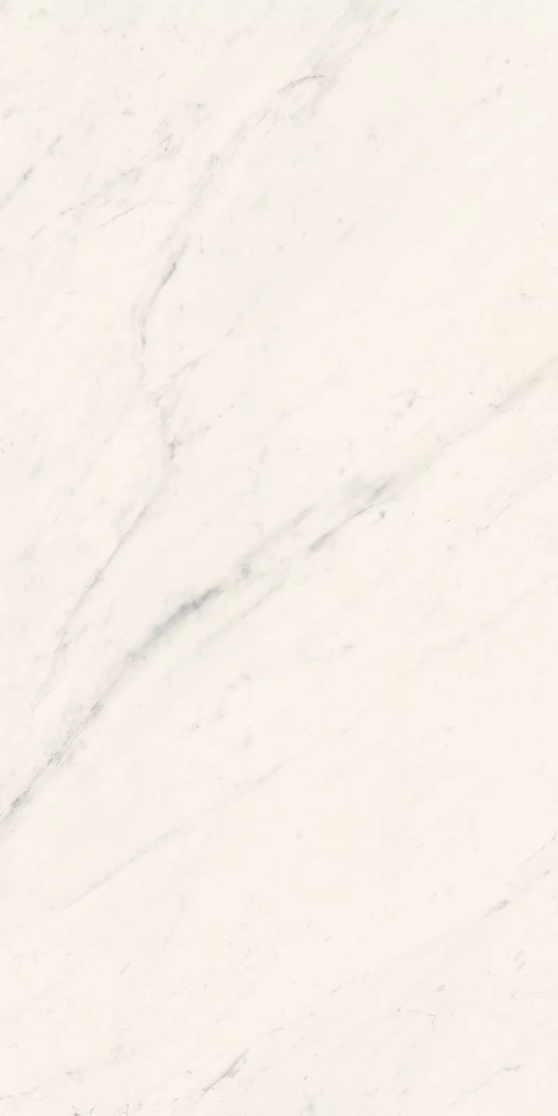 LA MARMOTECA_SAHARA WHITE_60X120_9