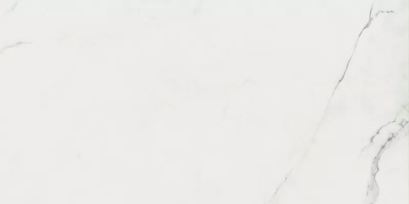 SUPREME EVO PURE STATUARIO 60X120_17