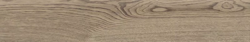 POETRY WOOD OAK 20X120_25