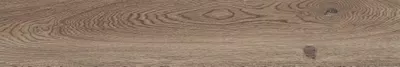 Braun Poetry Wood Fliese, Holz-Optik, 20x120, Oberfläche Natürlich.