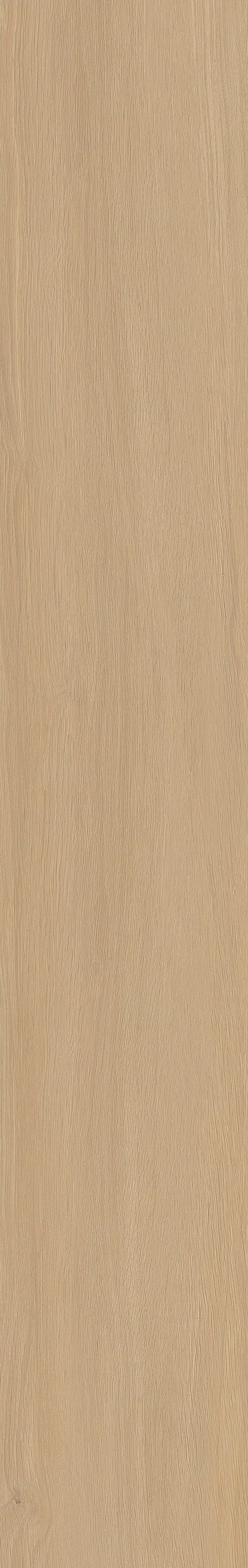 TABULAE REFINED MIELE 23,4X148_11