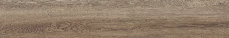 POETRY WOOD OAK 20X120_24