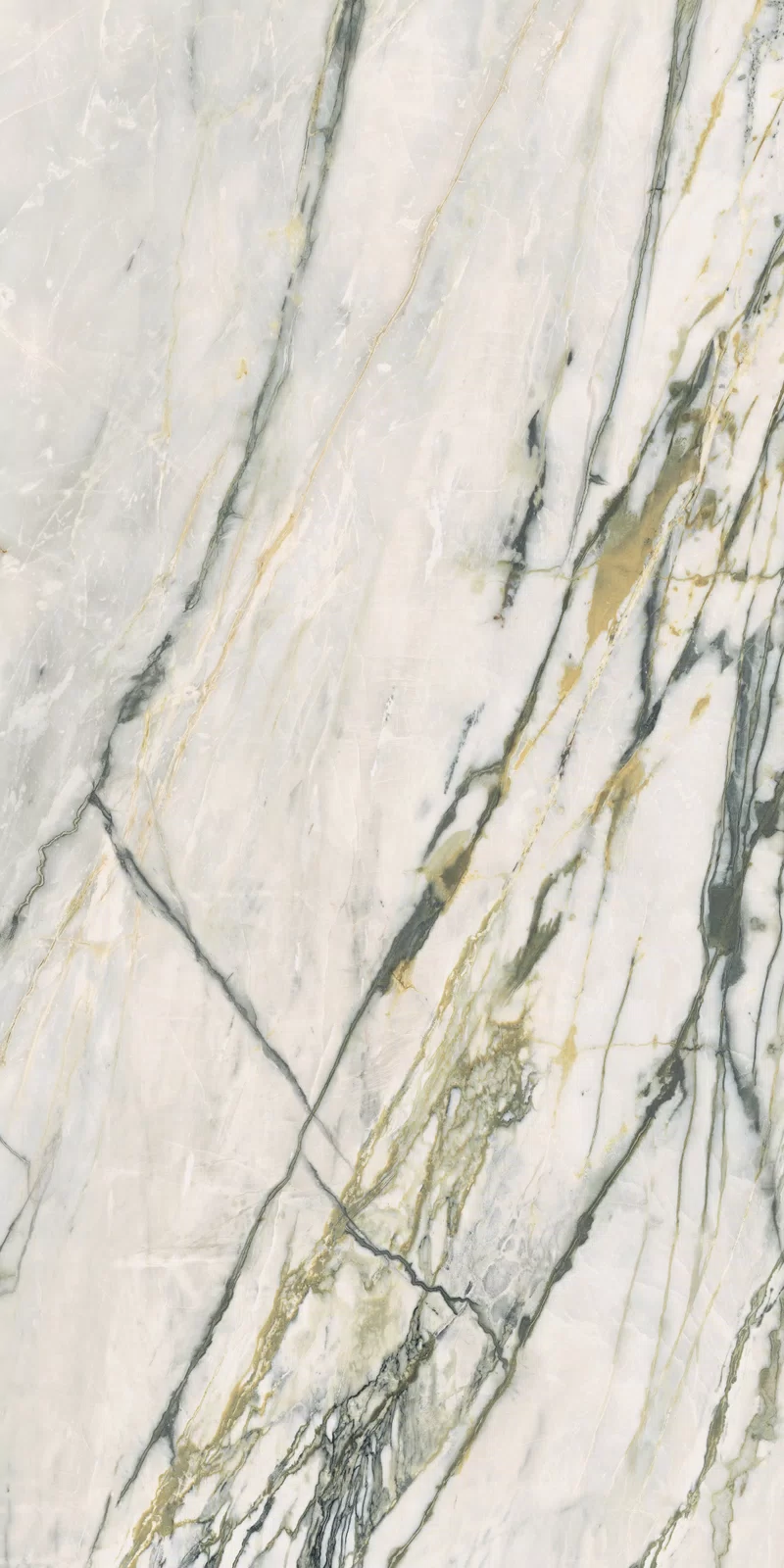 EPOQUE 21 CALACATTA BAMBOO 60X120_03