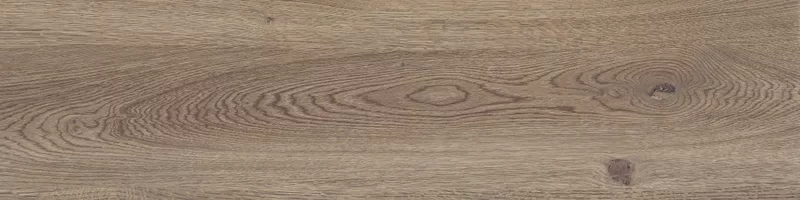 POETRY WOOD OAK 30X120_02