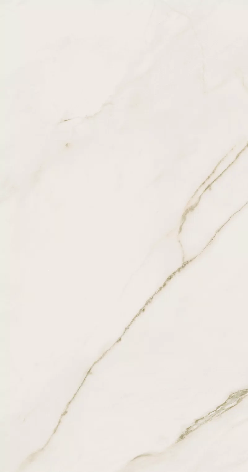 SUPREME EVO CALACATTA EXTRA 60X120_18