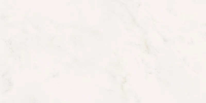 SENSI WHITE RHINO 60X120_08