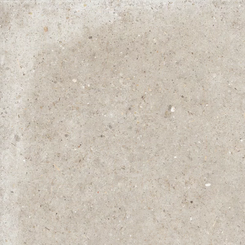 ANIMA BEIGE 60X60_13