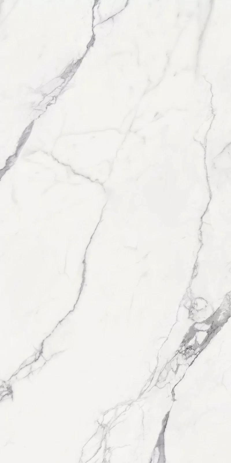 NOBILE STATUARIO 60X120_16