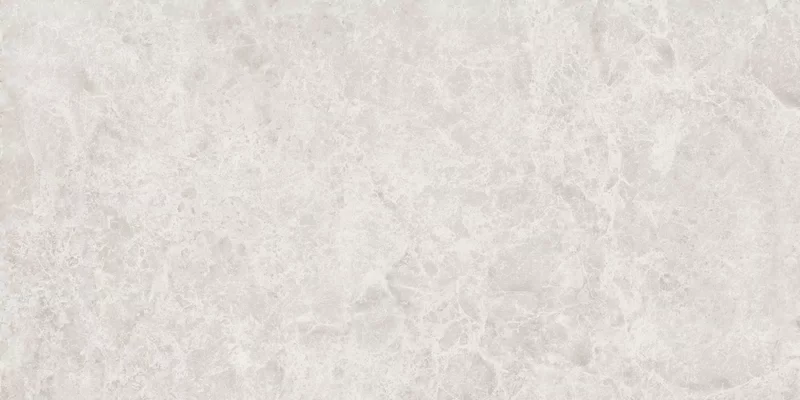 ERA DELICATE IVORY 60X120_07