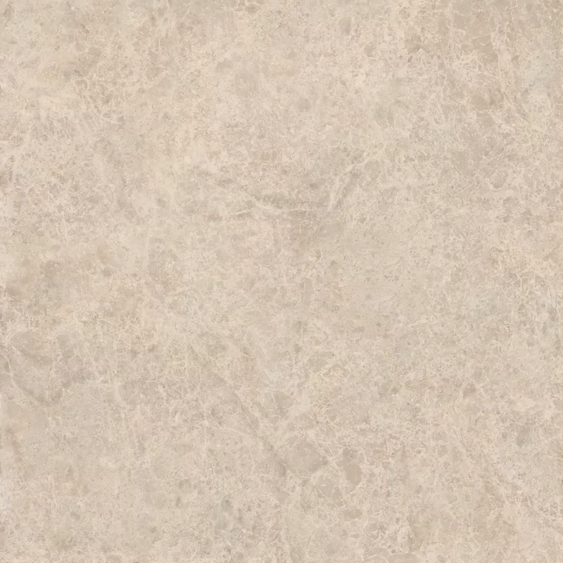 ERA DELICATE TAUPE 120X120_05