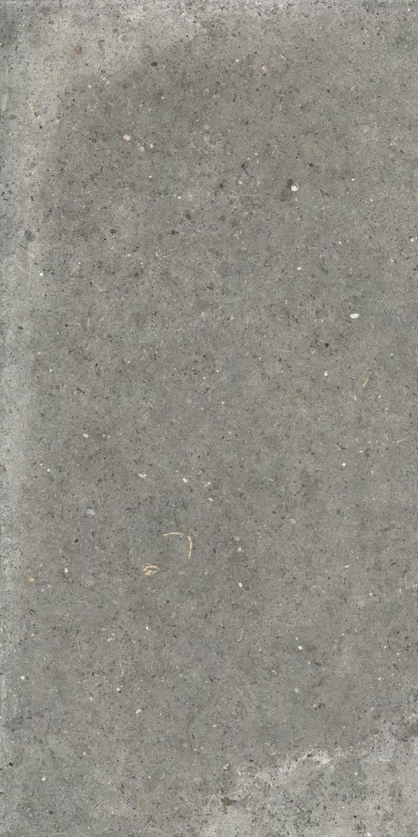 Beige Anima tile, stone effect, 60x120, Nat P.tech finish.
