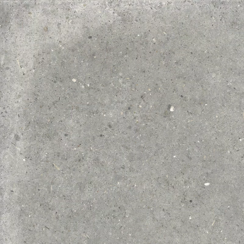 ANIMA GRIGIO 60X60_02