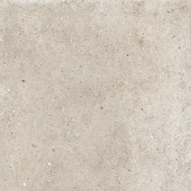 ANIMA BEIGE 60X60_14