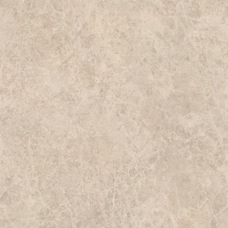 ERA DELICATE TAUPE 120X120_03
