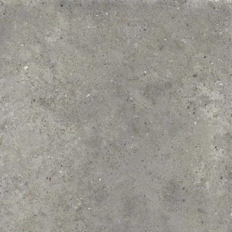 ANIMA FANGO 60X60_10