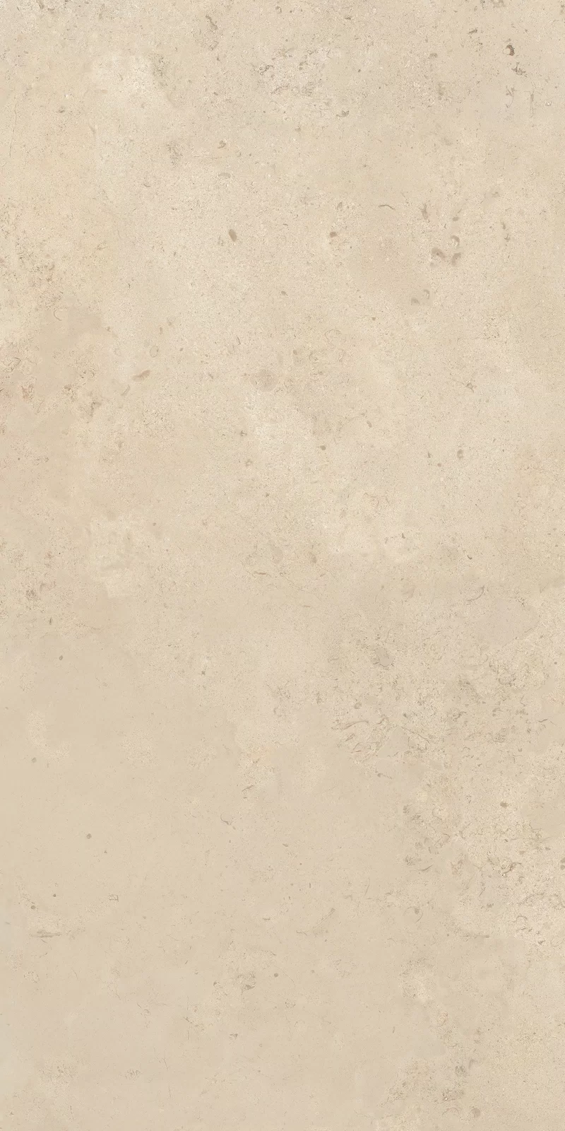 OUT.20 CAMARGUE BEIGE 60X120_11