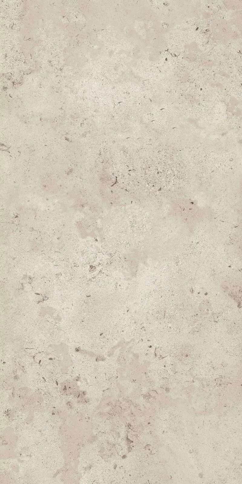 MEMENTO CAMARGUE IVORY 60X120_18