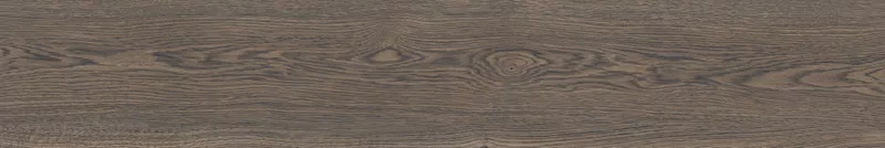 POETRY WOOD MUD 20X120_20