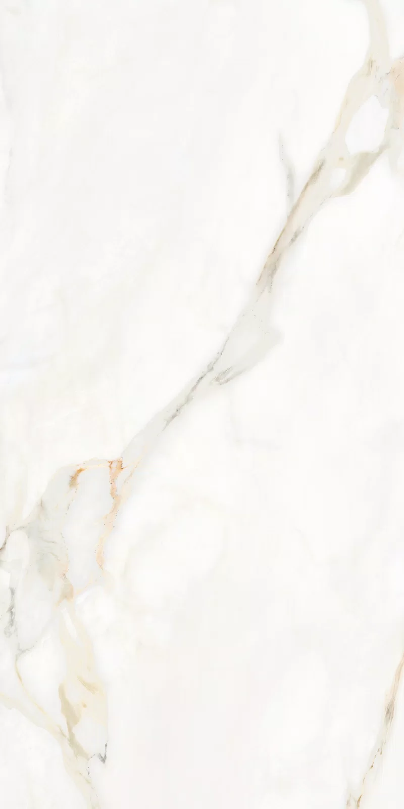 MARMOTECA_CALACATTA ELEGANCE_60X120_7