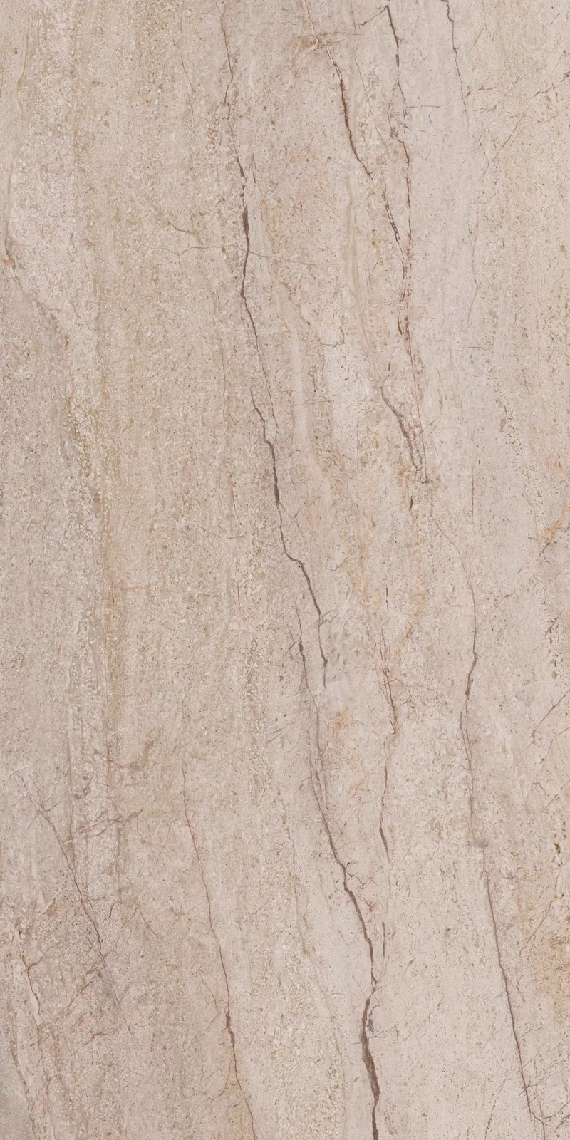 NOBILE SAND FLOWER 60X120_12