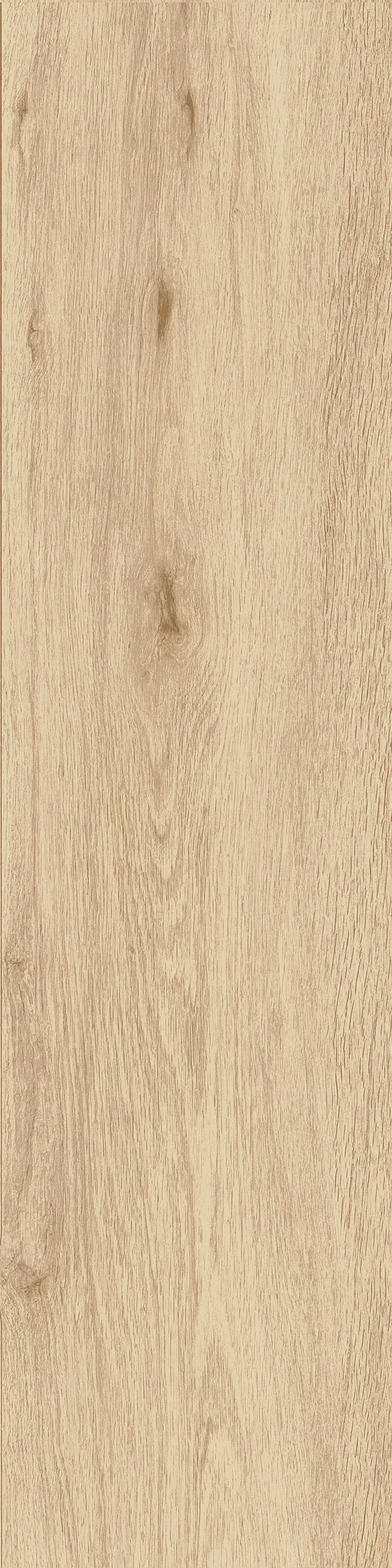 30X120 · Naturel