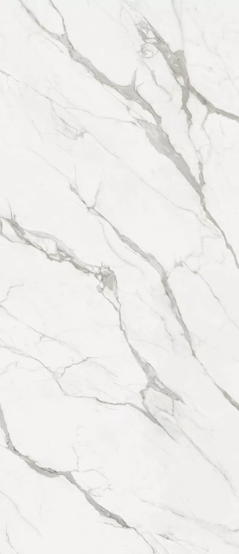 MARMOTECA_STATUARIO PREMIUM_120x280_3